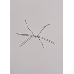 réalisation des moustaches